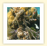 pic8